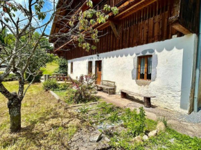 Appart cosy pour 8 personnes Samoens